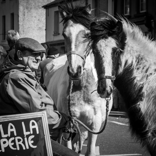 Ennistymon Horse Fair